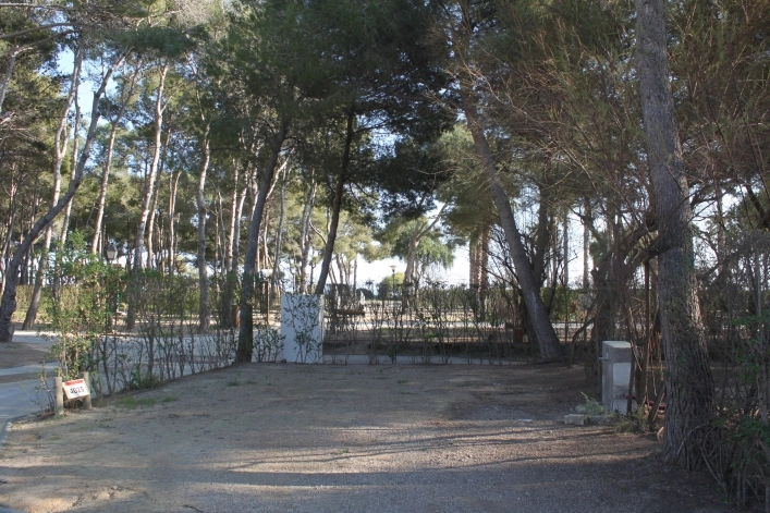 zobacz camping - zdjęcie 24