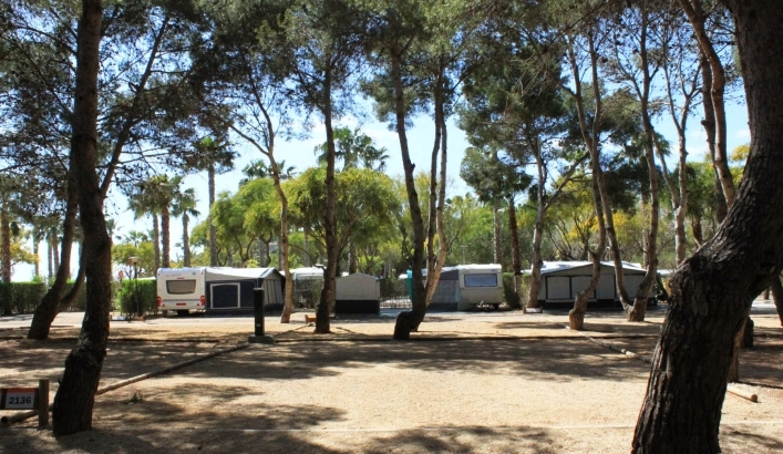 zobacz camping - zdjęcie 22