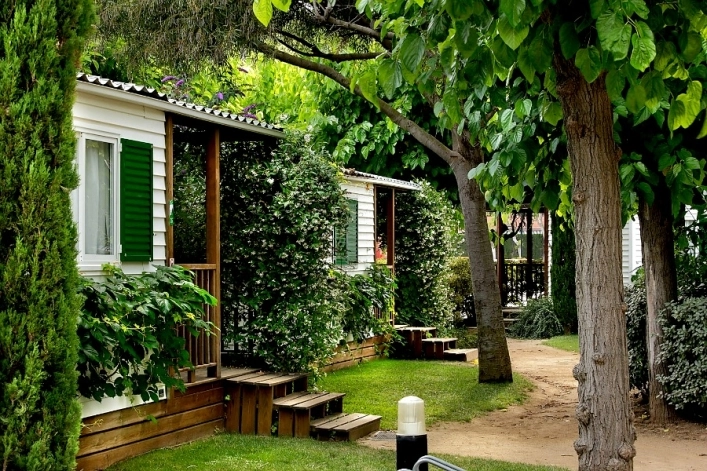 zobacz camping - zdjęcie 21