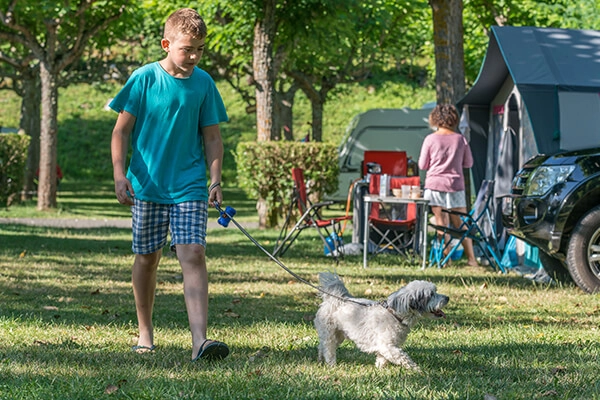 zobacz camping - zdjęcie 16