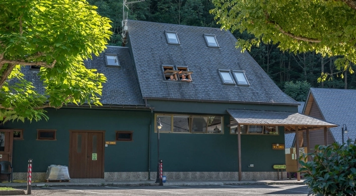 zobacz camping - zdjęcie 9