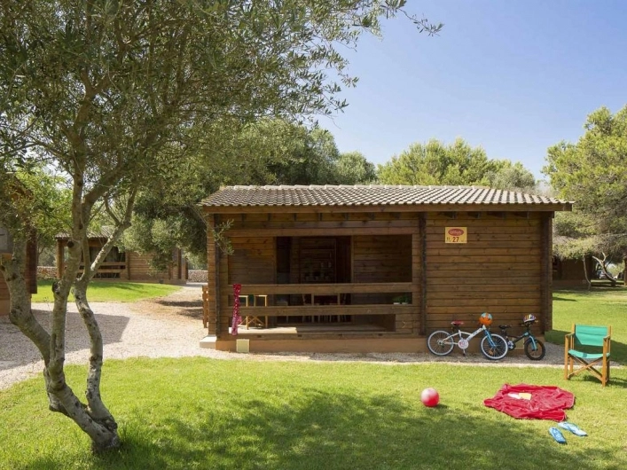 zobacz camping - zdjęcie 22