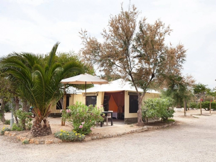 zobacz camping - zdjęcie 24