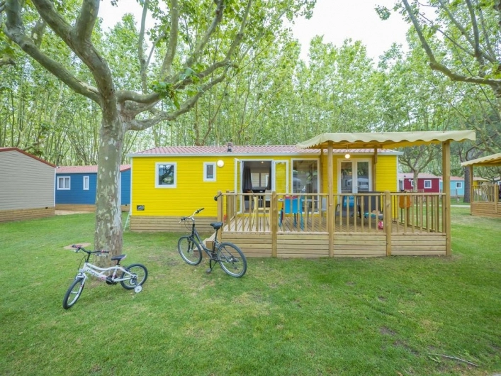 zobacz camping - zdjęcie 13