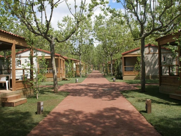 zobacz camping - zdjęcie 9