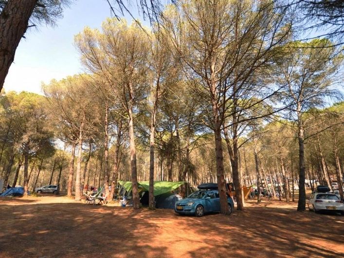 Yelloh! Village Punta Milà - zdjęcie 2