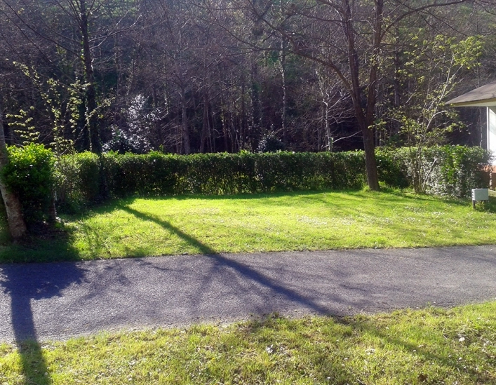 Zingira Kanpina - zdjęcie 3