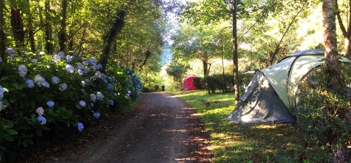 zobacz camping - zdjęcie 3