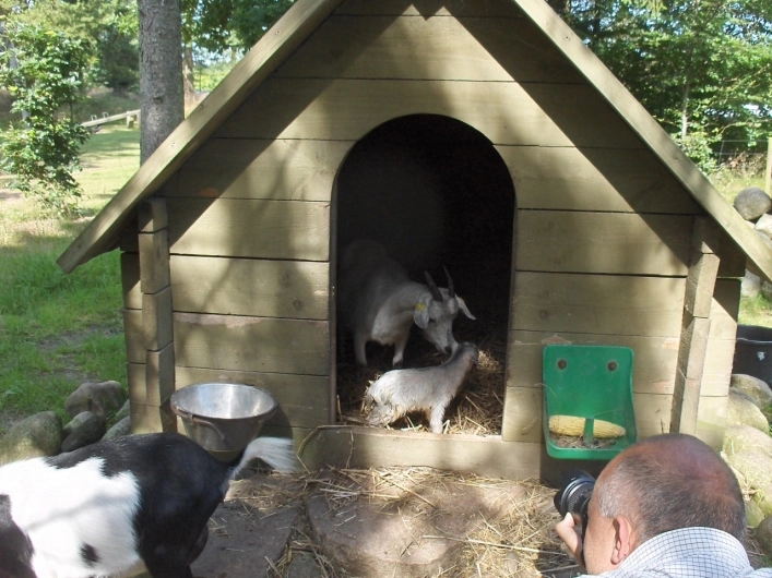 zobacz camping - zdjęcie 11