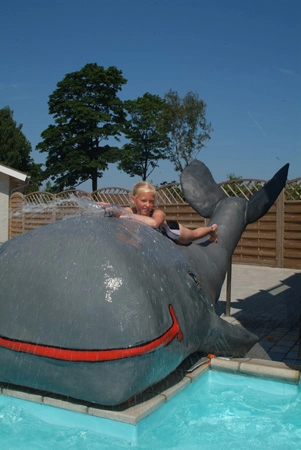 zobacz camping - zdjęcie 8