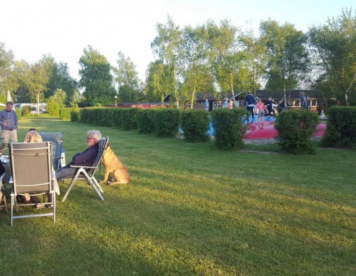 zobacz camping - zdjęcie 8