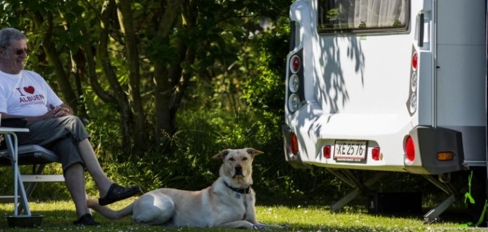 Albuen Strand Camping - zdjęcie 4