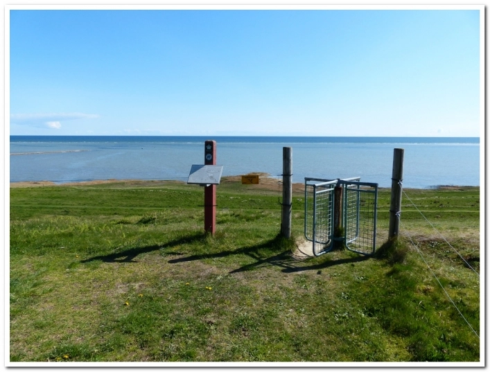 zobacz camping - zdjęcie 19