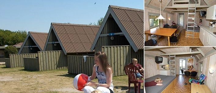 Askehøj Camping - zdjęcie 3