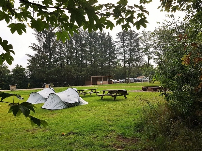 zobacz camping - zdjęcie 10