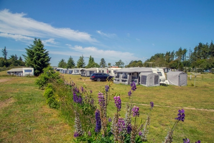 zobacz camping - zdjęcie 19