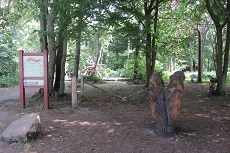 zobacz camping - zdjęcie 15