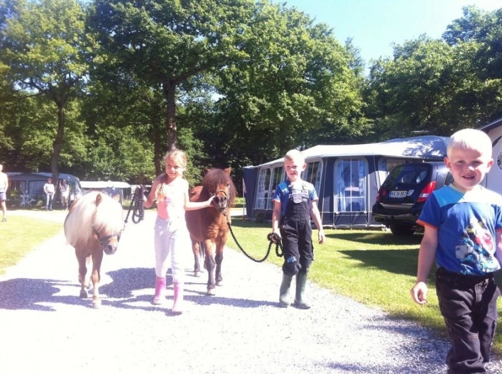 zobacz camping - zdjęcie 12