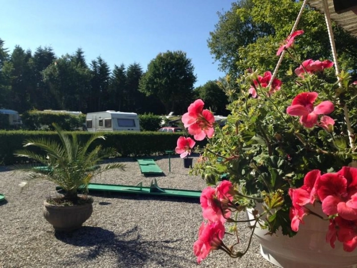 zobacz camping - zdjęcie 9