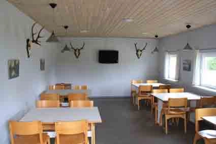 Bork Havn Camping - zdjęcie 3