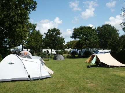 Bork Havn Camping - zdjęcie 2
