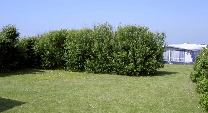 Bovbjerg Camping - zdjęcie 3