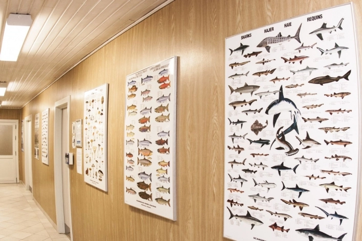 zobacz camping - zdjęcie 16