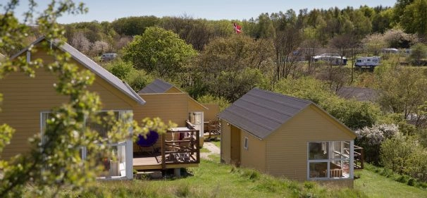 zobacz camping - zdjęcie 8