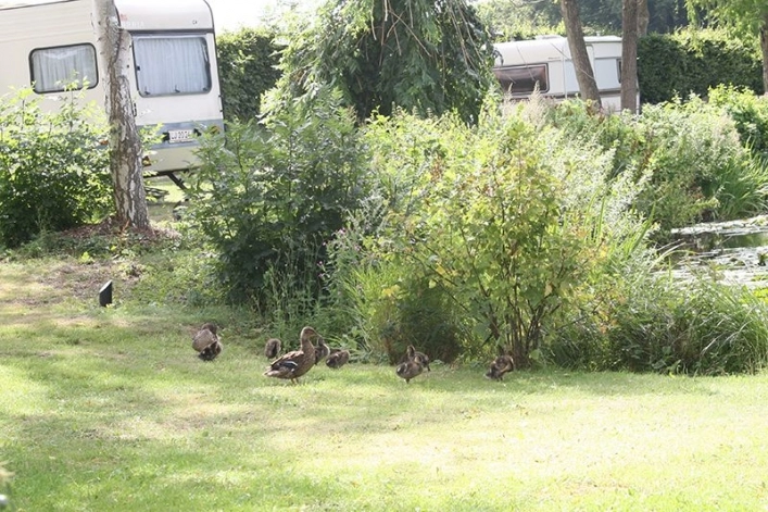 zobacz camping - zdjęcie 8