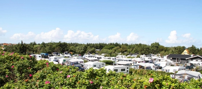 zobacz camping - zdjęcie 8