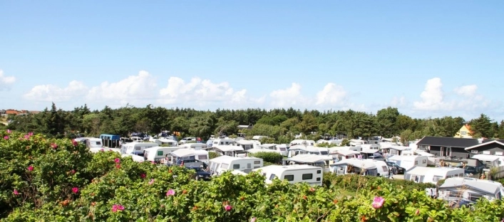 zobacz camping - zdjęcie 6