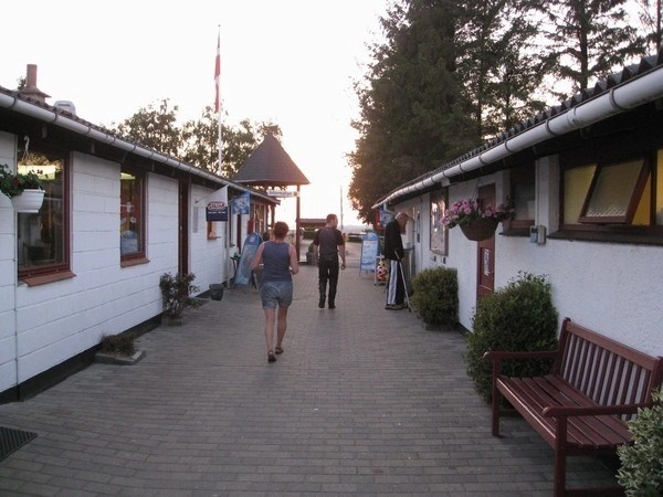 zobacz camping - zdjęcie 10