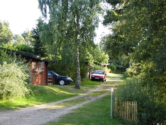 Carlsberg Camping - zdjęcie 3