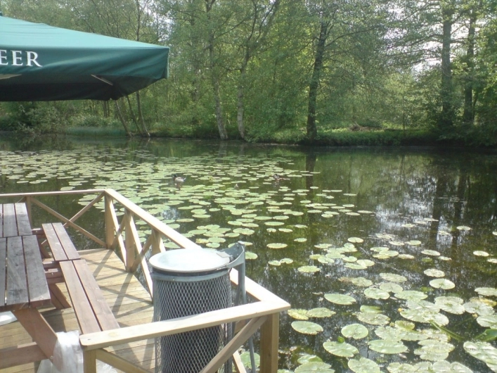 zobacz camping - zdjęcie 16