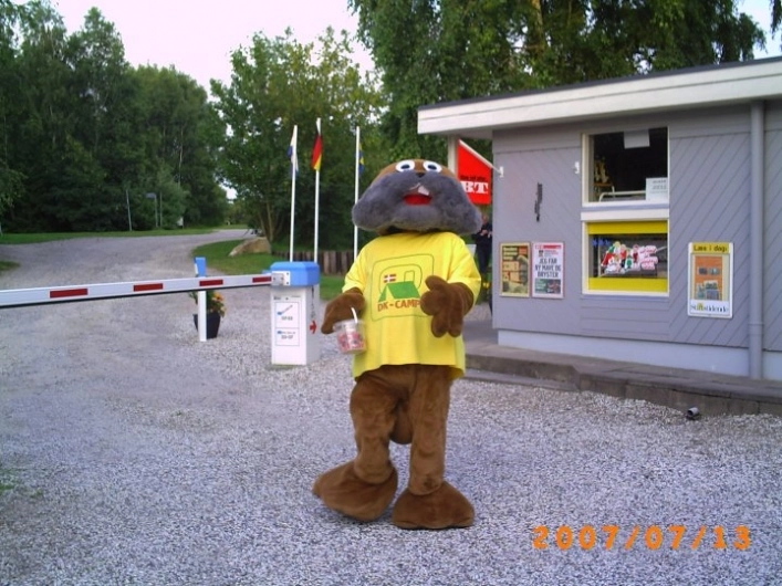 zobacz camping - zdjęcie 18