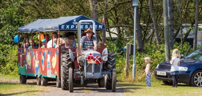 zobacz camping - zdjęcie 8