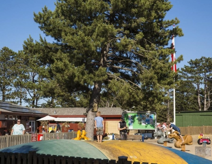 DCU Flyvesandet strand camp - zdjęcie 3