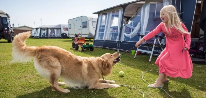 zobacz camping - zdjęcie 11