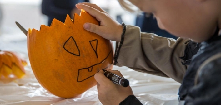 zobacz camping - zdjęcie 4