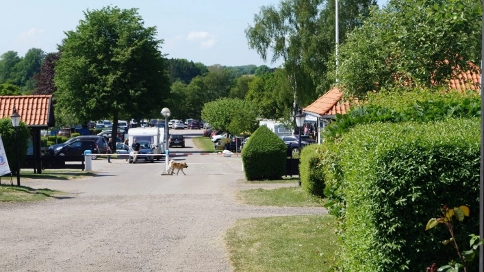 zobacz camping - zdjęcie 19