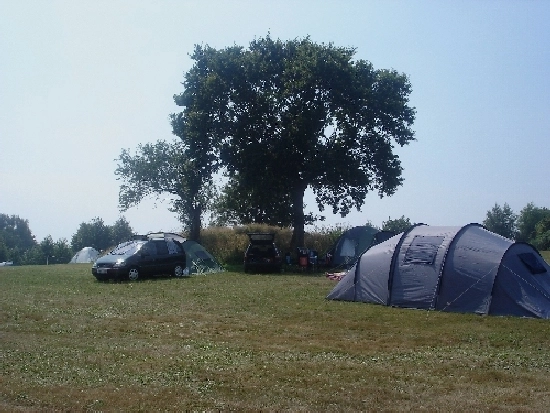 De Hvide Svaner Camping - zdjęcie 1