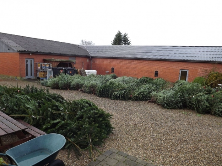 zobacz camping - zdjęcie 14