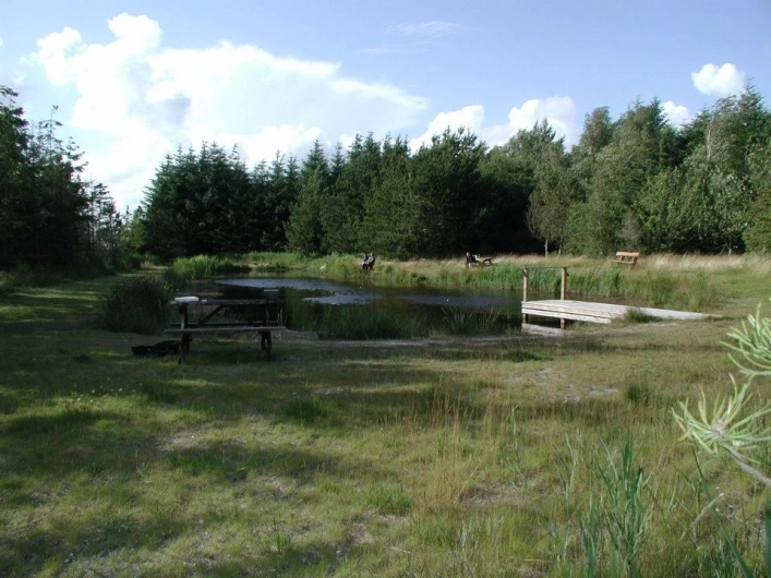 zobacz camping - zdjęcie 7