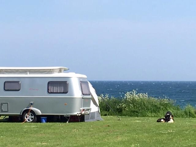 zobacz camping - zdjęcie 7