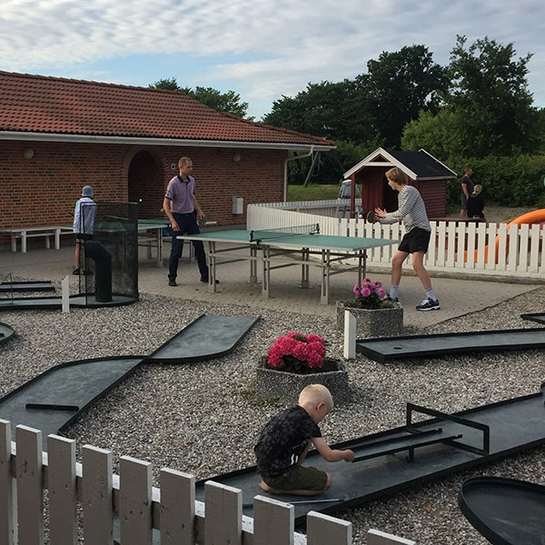 zobacz camping - zdjęcie 24