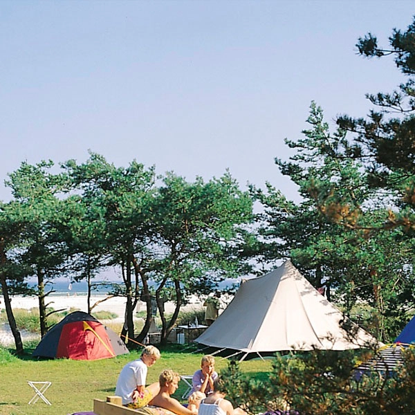 zobacz camping - zdjęcie 15