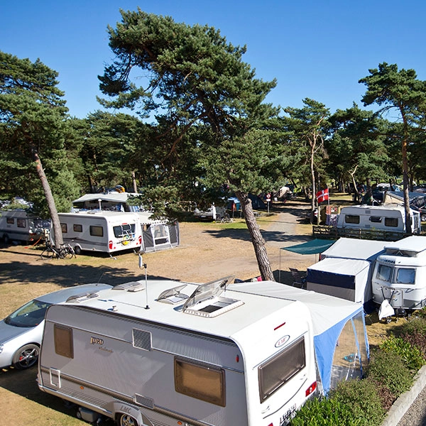 zobacz camping - zdjęcie 13