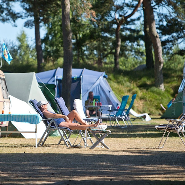 zobacz camping - zdjęcie 10