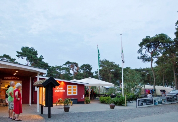 zobacz camping - zdjęcie 5