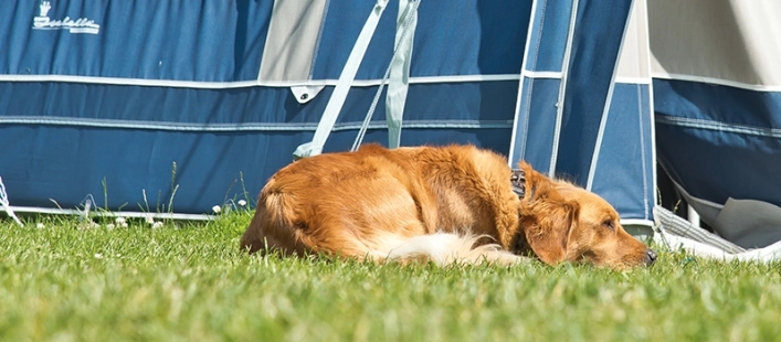 zobacz camping - zdjęcie 6